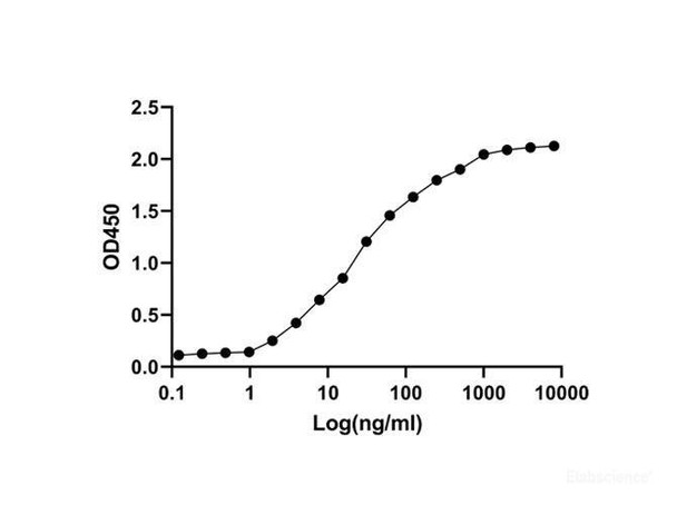 SARS-CoV-2 S-trimer Recombinant Protein (RPES7048)