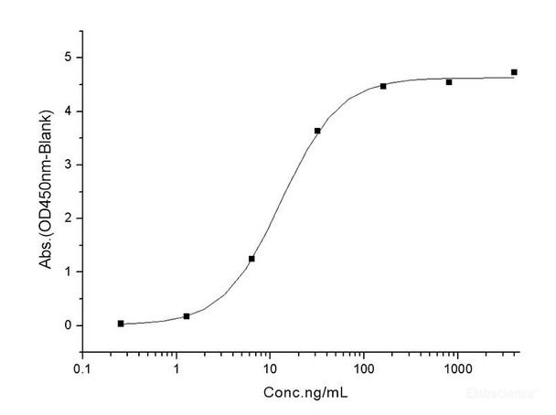 Recombinant SARS-CoV-2 Spike RBD (L452R, E484Q) (His Tag) (RPES7062)