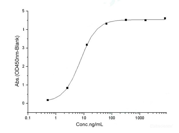 Recombinant SARS-CoV-2 Spike RBD (N501Y) (His Tag) (RPES7078)