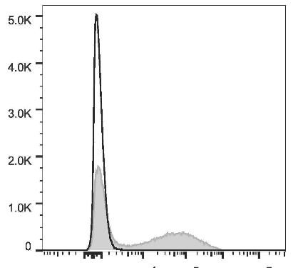 PE/Cyanine7 Anti-Mouse IgM Antibody [RMM-1] (AGEL2334)