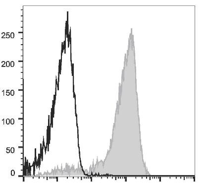 GenieFluor Violet 450 Anti-Mouse/Human CD11b Antibody [M1/70] (AGEL2964)
