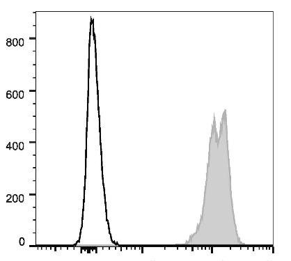 GenieFluor Violet 450 Anti-Mouse CD45 Antibody [30-F11] (AGEL2993)