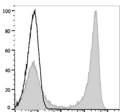 FITC Anti-Mouse CD90 Antibody [M5/49.4.1] (AGEL3022)