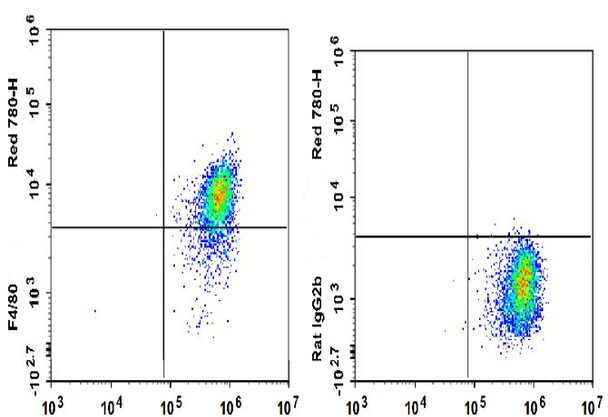 GenieFluor Red 780 Anti-Mouse F4/80 Antibody [CI:A3-1] (AGEL3115)
