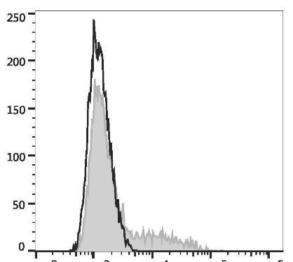 PE Anti-Mouse IL-17A Antibody [17F3] (AGEL3126)