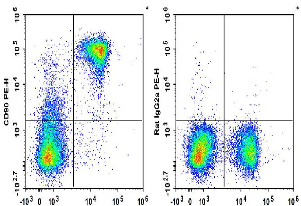 PE Anti-Mouse CD90 Antibody [M5/49.4.1] (AGEL3135)