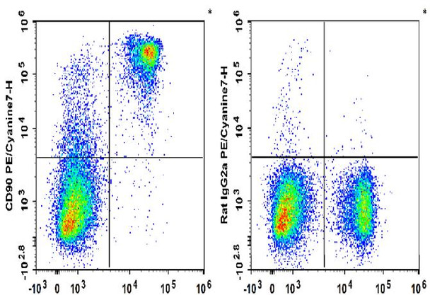 PE/Cyanine7 Anti-Mouse CD90 Antibody [M5/49.4.1] (AGEL3136)
