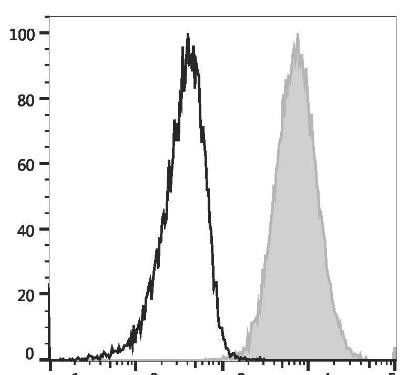 PE Anti-Human CD80 Antibody [2D10] (AGEL2469)