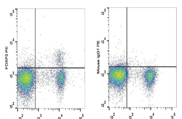 PE Anti-Mouse Foxp3 Antibody [3G3] (AGEL2483)
