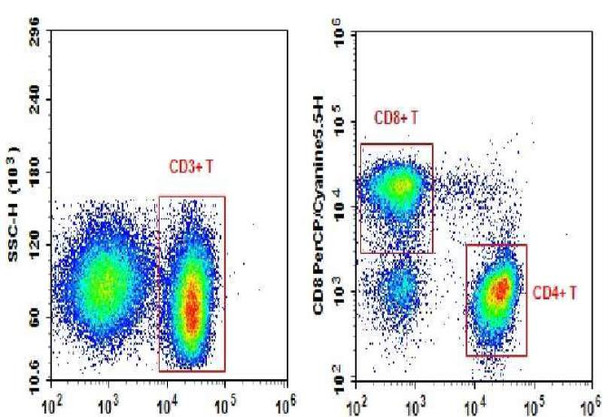 Anti-Human CD3-APC/CD4-FITC/CD8a-PerCP-Cyanine5.5 Cocktail (AGEL2710)