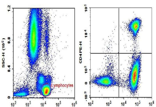 Anti-Human CD3-FITC/CD4-PE/CD45-PerCP-Cyanine5.5 Cocktail (AGEL2711)