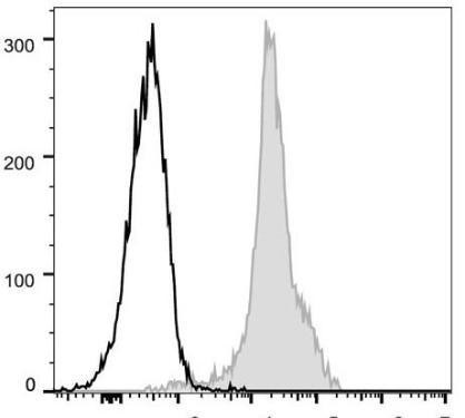 FITC Anti-Mouse CD11a Antibody [FD441.8] (AGEL0154)