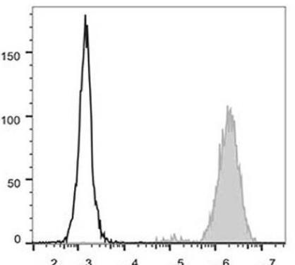 GenieFluor 488 Anti-Human CD15 Antibody [HI98] (AGEL0301)