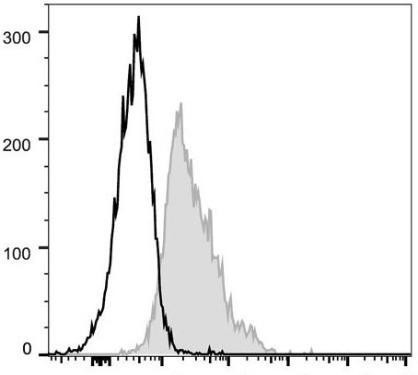 FITC Anti-Mouse CD1d Antibody [19G11] (AGEL0815)