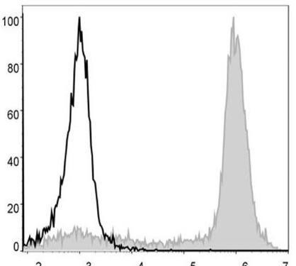PE/Cyanine5 Anti-Mouse/Human CD11b Antibody [M1/70] (AGEL1108)