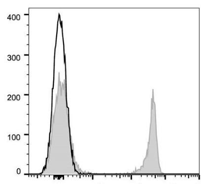 GenieFluor 647 Anti-Mouse CD8a Antibody [53-6.7] (AGEL1345)