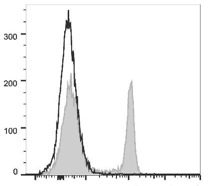 PerCP Anti-Rat CD4 (domain 1) Antibody [OX-38] (AGEL1358)