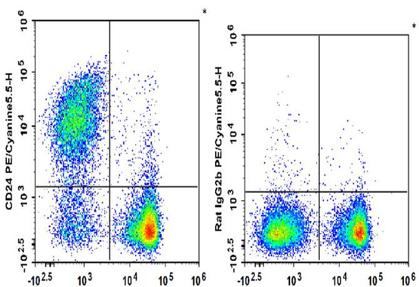 PE/Cyanine5.5 Anti-Mouse CD24 Antibody [M1/69] (AGEL1905)
