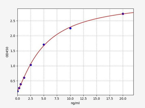 Human Fatty Acid Synthase/FASN ELISA Kit (HUFI01332)