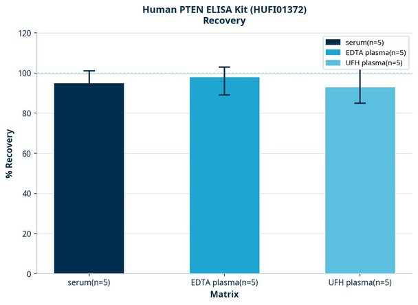 Human PTEN ELISA Kit (HUFI01372)