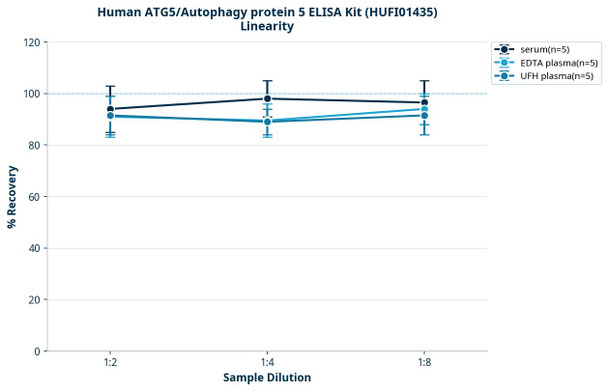 Human ATG5/Autophagy protein 5 ELISA Kit (HUFI01435)