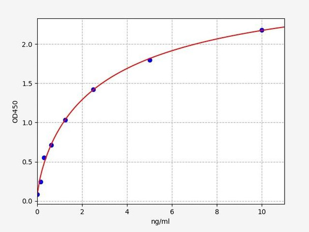 Human BAD/Bcl2 antagonist of cell death ELISA Kit (HUFI01442)