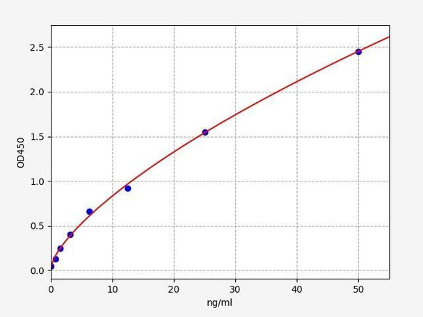 Human Cystathionase ELISA Kit (HUFI01498)