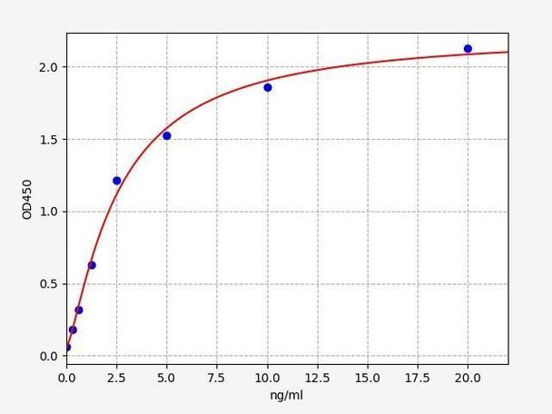 Rat ACE/Angiotensin Converting Enzyme 1 ELISA Kit (RTFI00069)