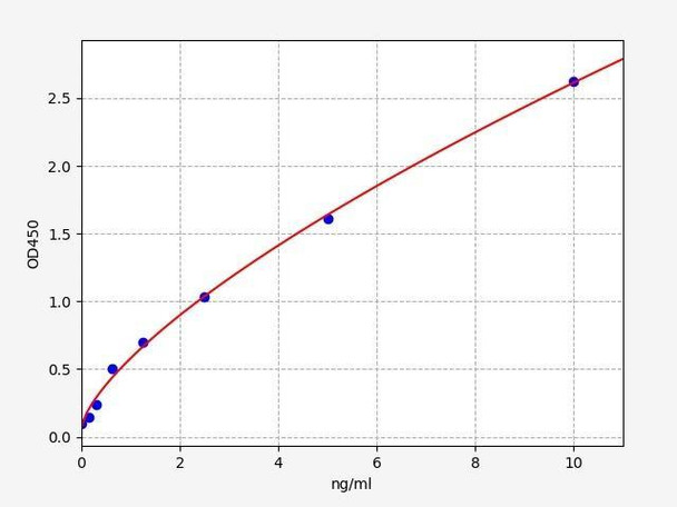 Rat Neurokinin A/NK2R ELISA Kit (RTFI01150)
