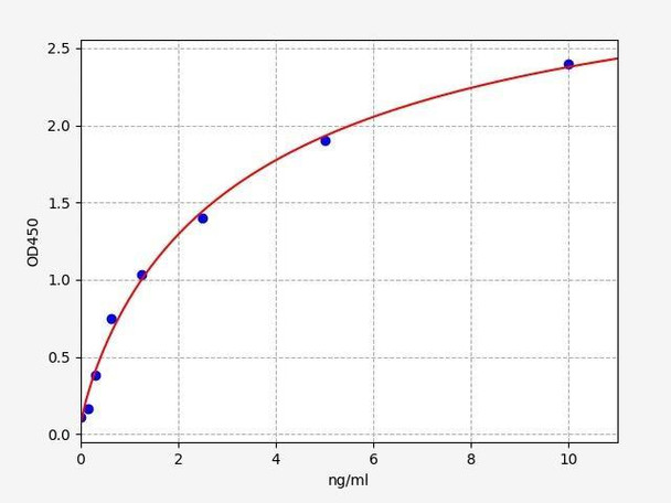 Rat Casein kinase II subunit alpha/Casein Kinase 2 Alpha ELISA Kit (RTFI01248)