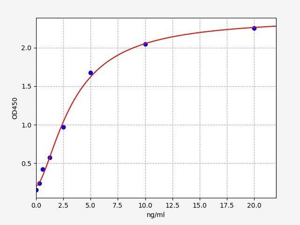 Rabbit mmp 2 ELISA Kit (RBFI00078)