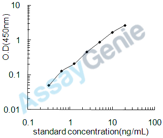 Rat Transthyretin (Ttr) ELISA Kit (RTEB0428)