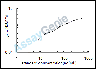 Rat Complement component C8 beta chain (C8b) ELISA Kit (RTEB1640)