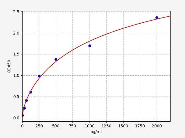 Bovine BNP (Brain Natriuretic Peptid) ELISA Kit (BOFI00088)