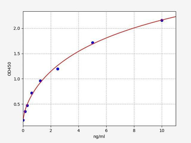 Human RTN3 (Reticulon-3) ELISA Kit (HUFI03006)