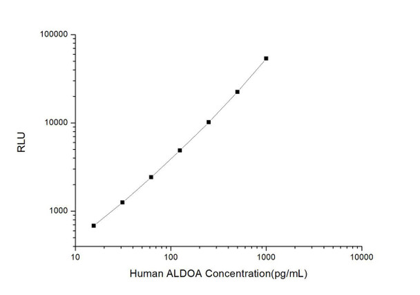 Human ALDOA (Aldolase A, Fructose Bisphosphate) CLIA Kit (HUES00224)