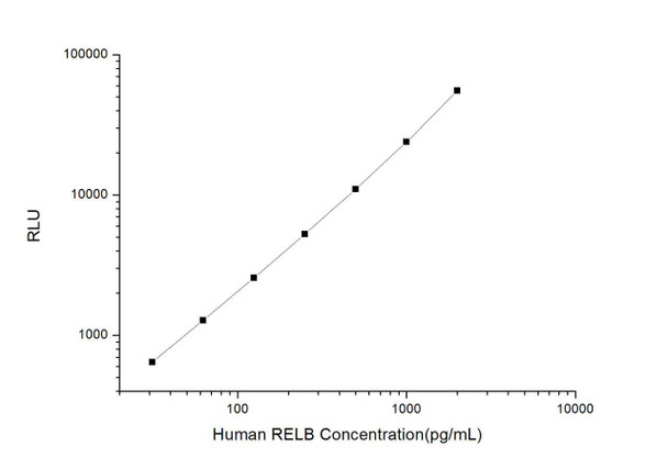 Human RELB (V-Rel Reticuloendotheliosis Viral Oncogene Homolog B) CLIA Kit (HUES01265)