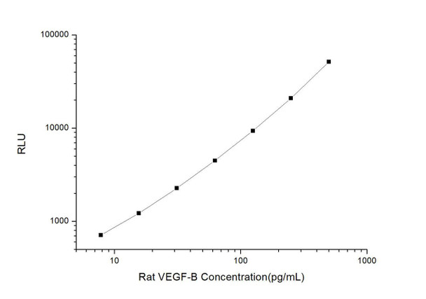 Rat VEGF-B (Vascular Endothelial Cell Growth Factor B) CLIA Kit (RTES00587)