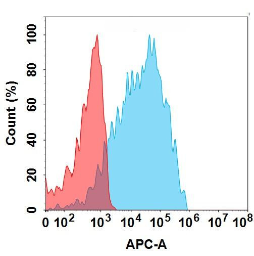 CEACAM5 (Tusamitamab biosimilar) mAb (HDBS0176)