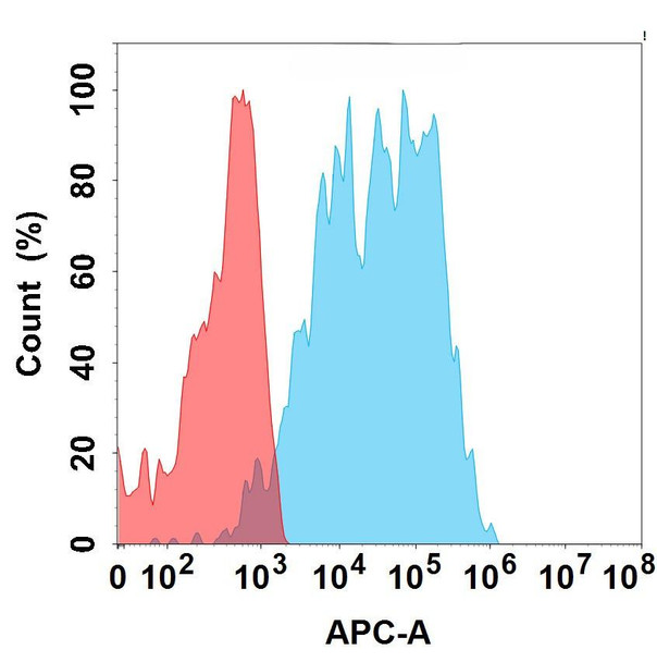CD19 (Loncastuximab biosimilar) mAb (HDBS0186)