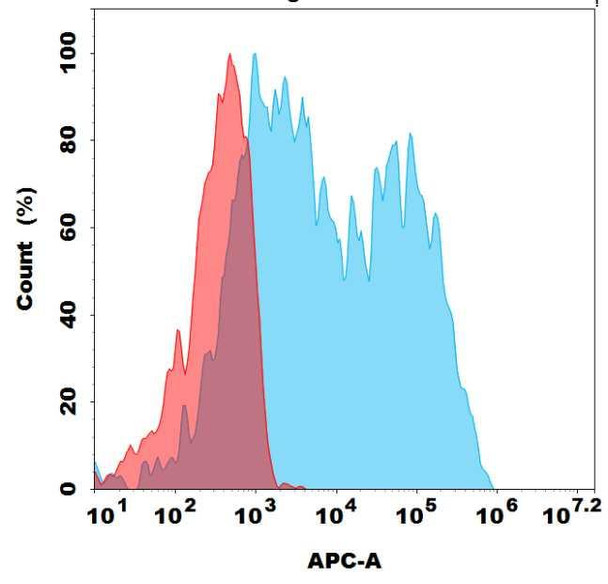 Biotinylated TSHR (K1-70) mAb (HDBS0287)