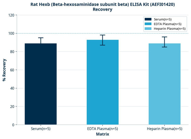 Rat Hexb (Beta-hexosaminidase subunit beta) ELISA Kit (AEFI01420)