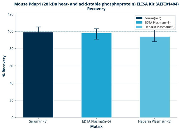 Mouse Pdap1 (28 kDa heat- and acid-stable phosphoprotein) ELISA Kit (AEFI01484)