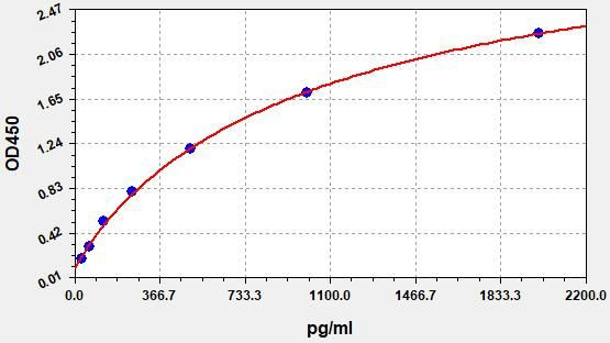 Rat Cldn11 (Claudin-11) ELISA Kit (AEFI01612)