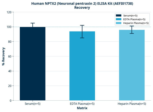 Human NPTX2 (Neuronal pentraxin 2) ELISA Kit (AEFI01738)