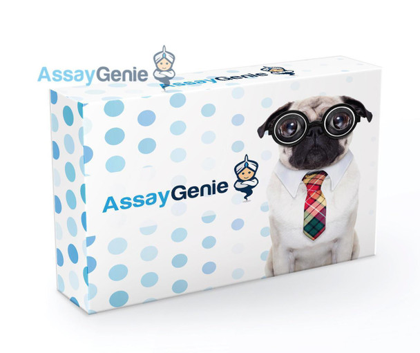 Human Growth Hormone (GH) ColorStep ELISA Kit (AEFI01766)
