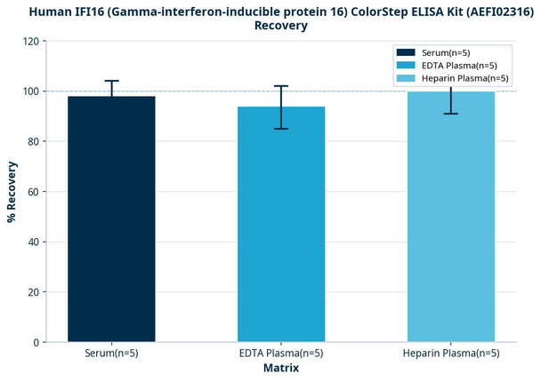 Human IFI16 (Gamma-interferon-inducible protein 16) ColorStep ELISA Kit (AEFI02316)