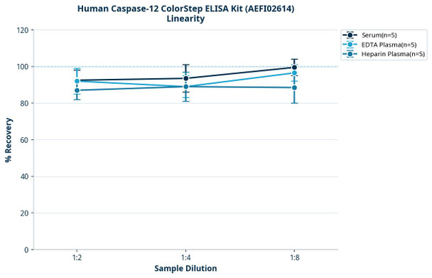 Human Caspase-12 ColorStep ELISA Kit (AEFI02614)