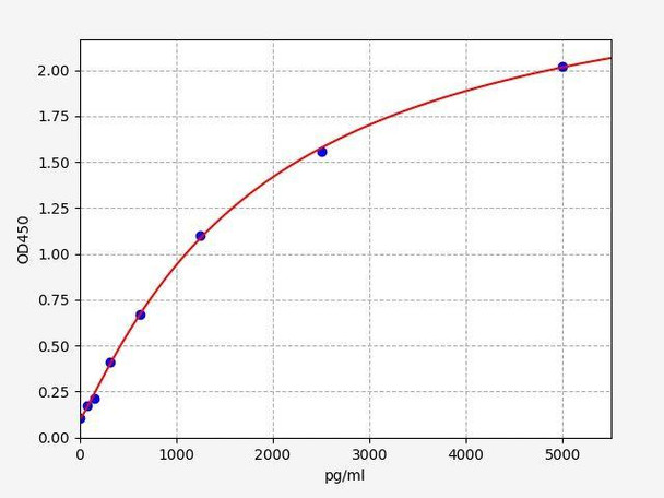 Rat MTCO1 ColorStep ELISA Kit (AEFI02841)