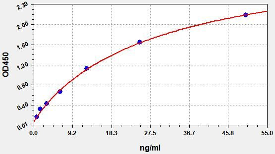 Human Perforin-1 ColorStep ELISA Kit (AEFI03134)